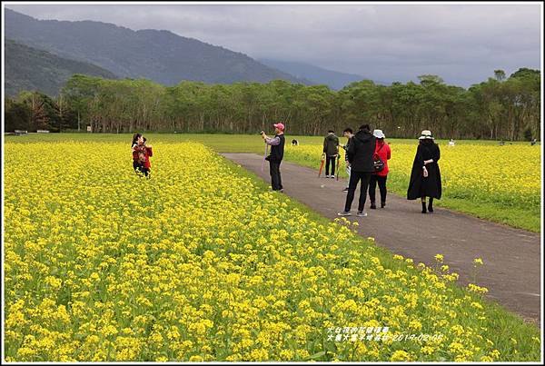 大農大富平地森林-2019-02-27.jpg