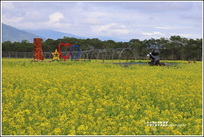 大農大富平地森林-2019-02-46.jpg