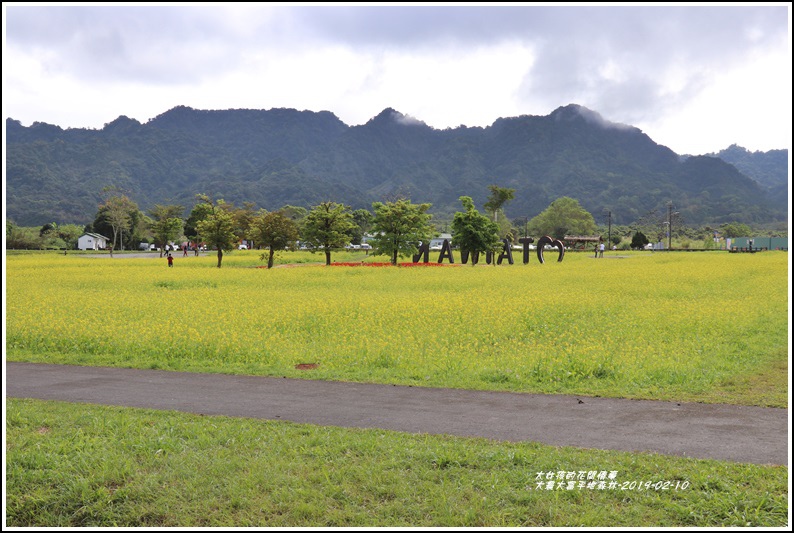 大農大富平地森林-2019-02-52.jpg