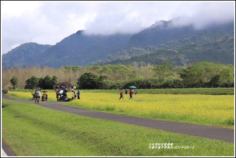 大農大富平地森林-2019-02-51.jpg