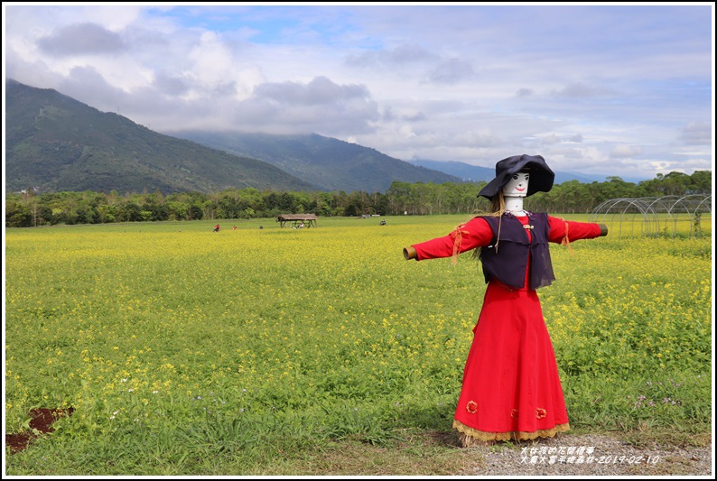 大農大富平地森林-2019-02-53.jpg