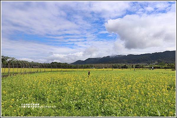 大農大富平地森林-2019-02-59.jpg