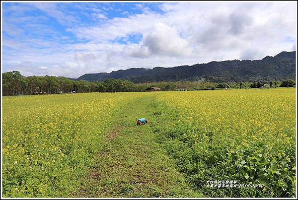 大農大富平地森林-2019-02-67.jpg