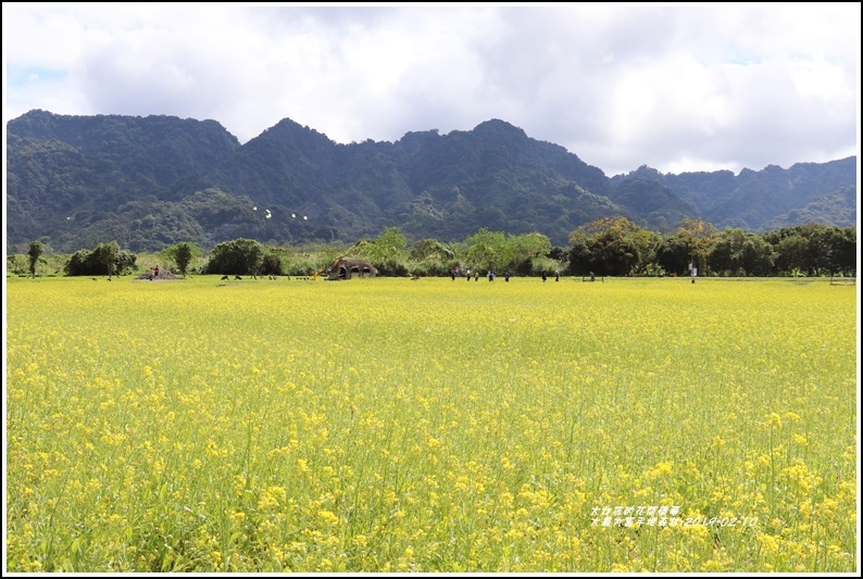 大農大富平地森林-2019-02-69.jpg