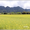 大農大富平地森林-2019-02-69.jpg