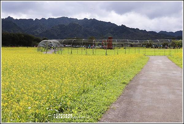 大農大富平地森林-2019-02-72.jpg