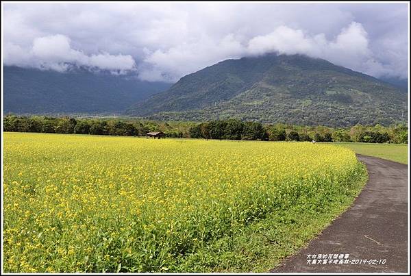 大農大富平地森林-2019-02-71.jpg