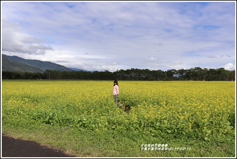 大農大富平地森林-2019-02-74.jpg