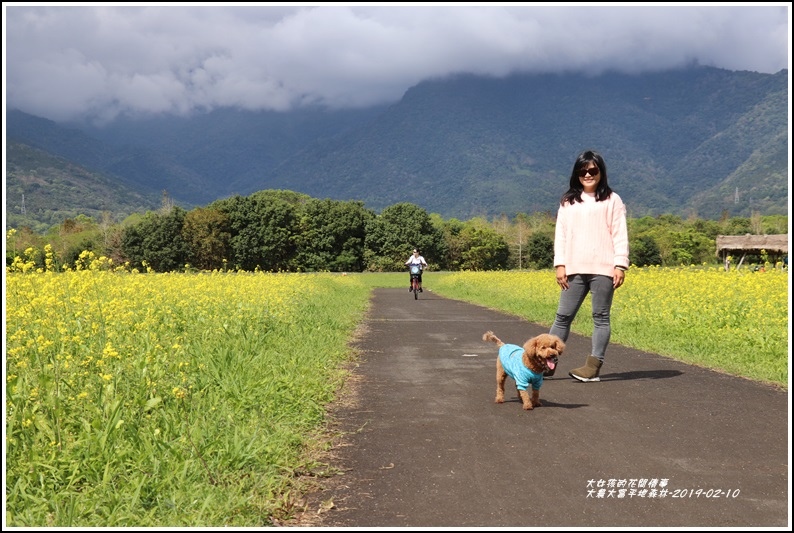 大農大富平地森林-2019-02-81.jpg