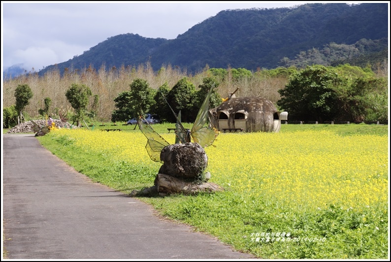 大農大富平地森林-2019-02-88.jpg