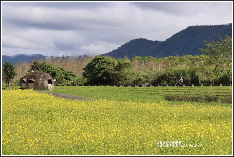 大農大富平地森林-2019-02-89.jpg