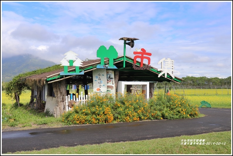 大農大富平地森林-2019-02-94.jpg