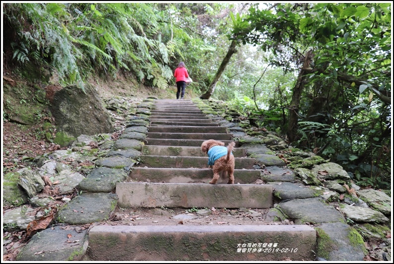 撒固兒步道-2019-02-06.jpg