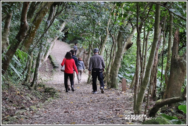 撒固兒步道-2019-02-16.jpg