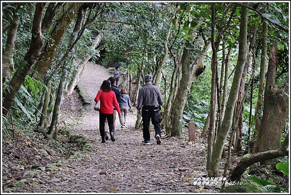 撒固兒步道-2019-02-16.jpg