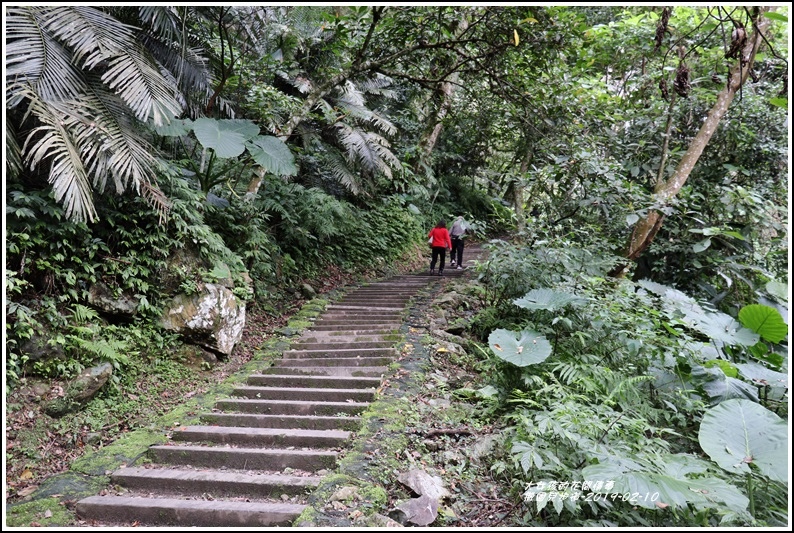 撒固兒步道-2019-02-19.jpg