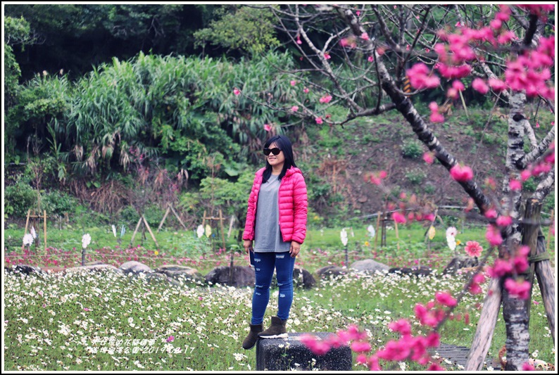 大同崙埤河濱櫻花公園-2019-02-36.jpg