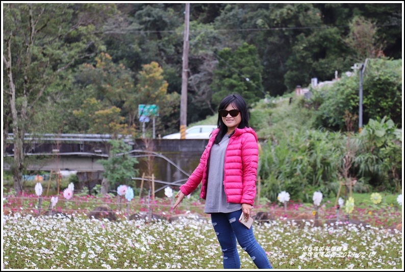 大同崙埤河濱櫻花公園-2019-02-39.jpg