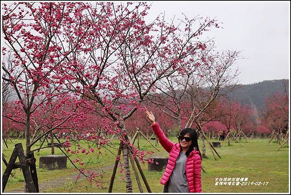 大同崙埤河濱櫻花公園-2019-02-44.jpg