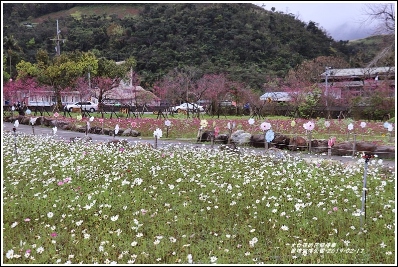 大同崙埤河濱櫻花公園-2019-02-47.jpg