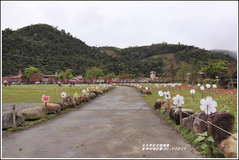 大同崙埤河濱櫻花公園-2019-02-54.jpg