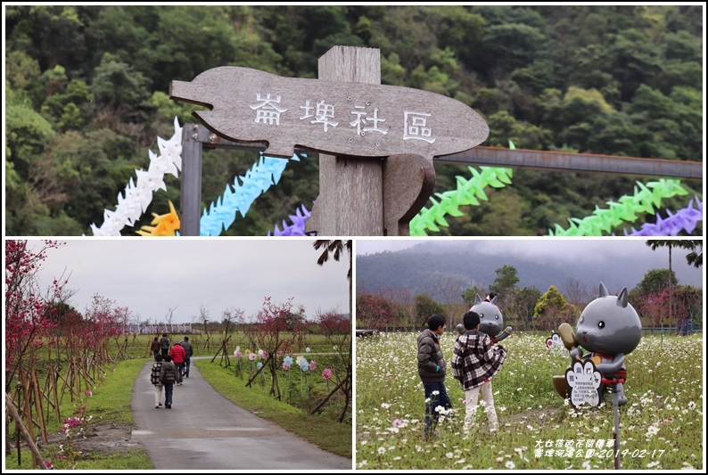 大同崙埤河濱櫻花公園-2019-02-56.jpg