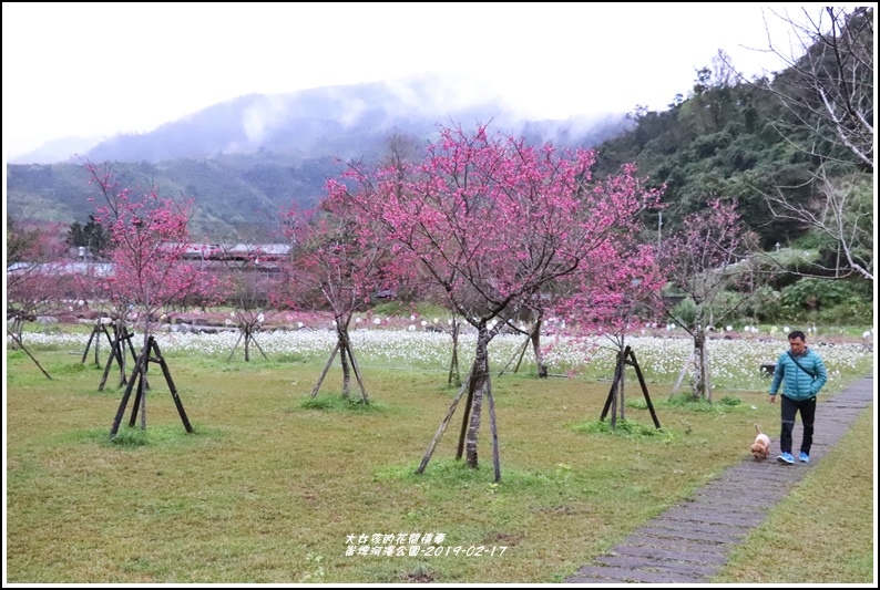 大同崙埤河濱櫻花公園-2019-02-58.jpg