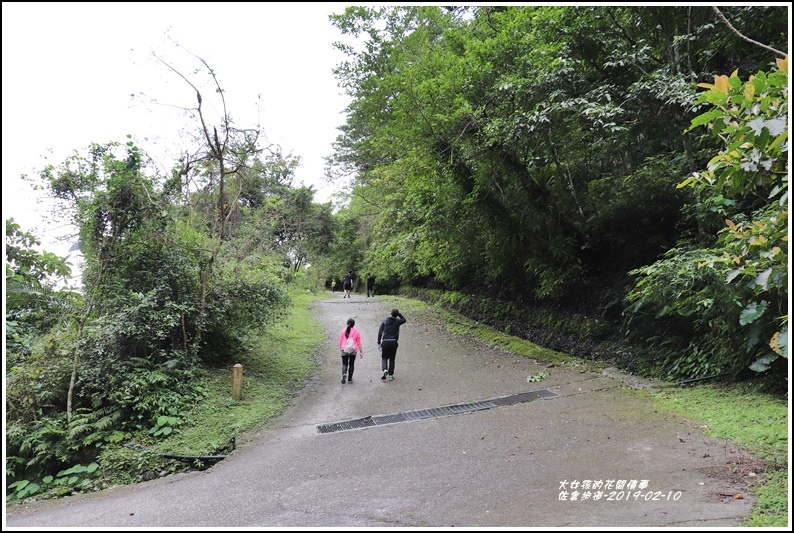 佐倉步道-2019-02-11.jpg