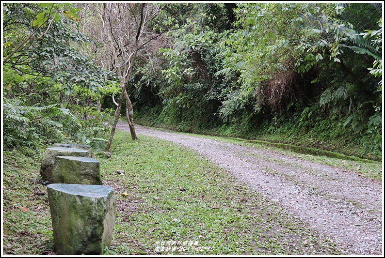 佐倉步道-2019-02-14.jpg