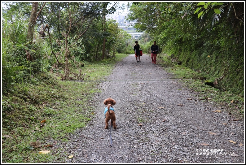 佐倉步道-2019-02-21.jpg