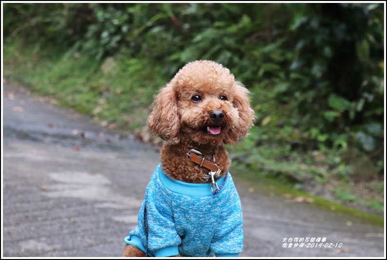 佐倉步道-2019-02-31.jpg