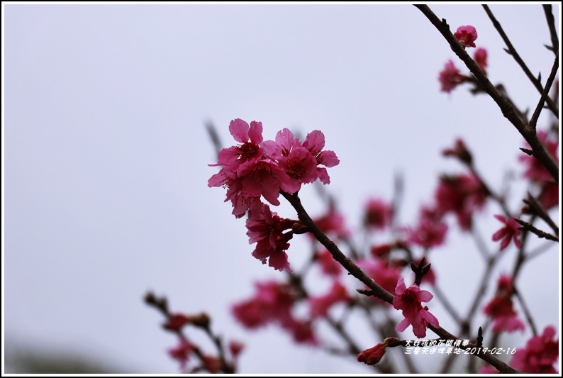 三星天送埤車站-2019-02-24.jpg 三星天送埤車站-2019-02-24.jpg