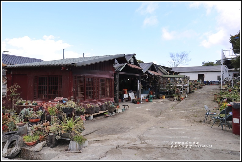 赤柯山加蜜園-2019-03-02.jpg