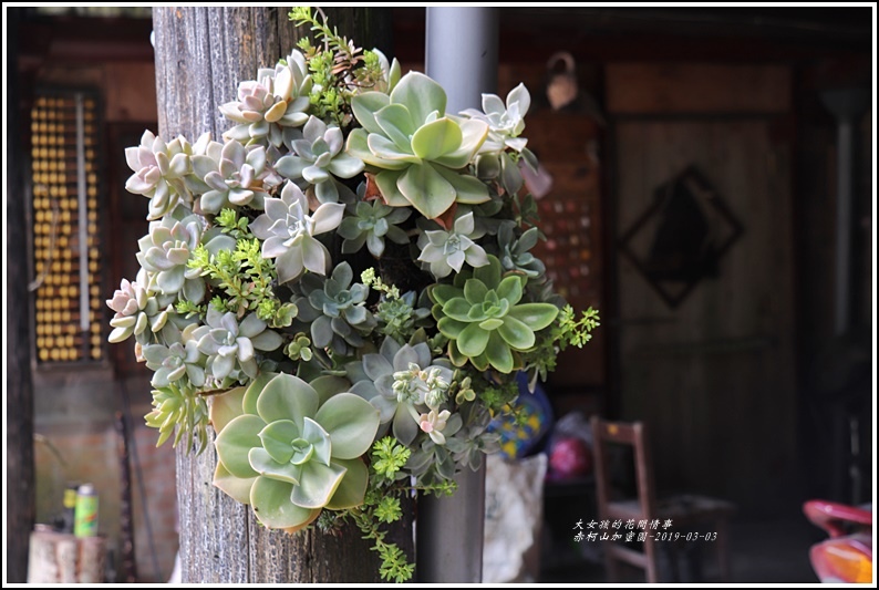 赤柯山加蜜園-2019-03-28.jpg