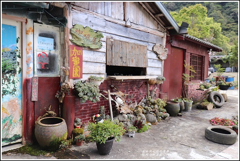 赤柯山加蜜園-2019-03-42.jpg