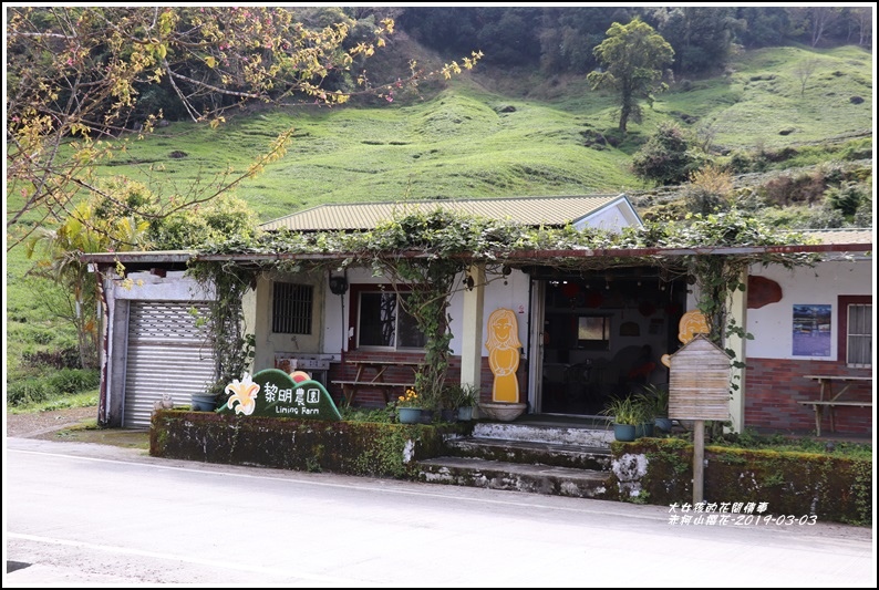 赤柯山櫻花-2019-03-94.jpg