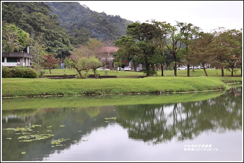 蜊埤湖-2019-02-04.jpg