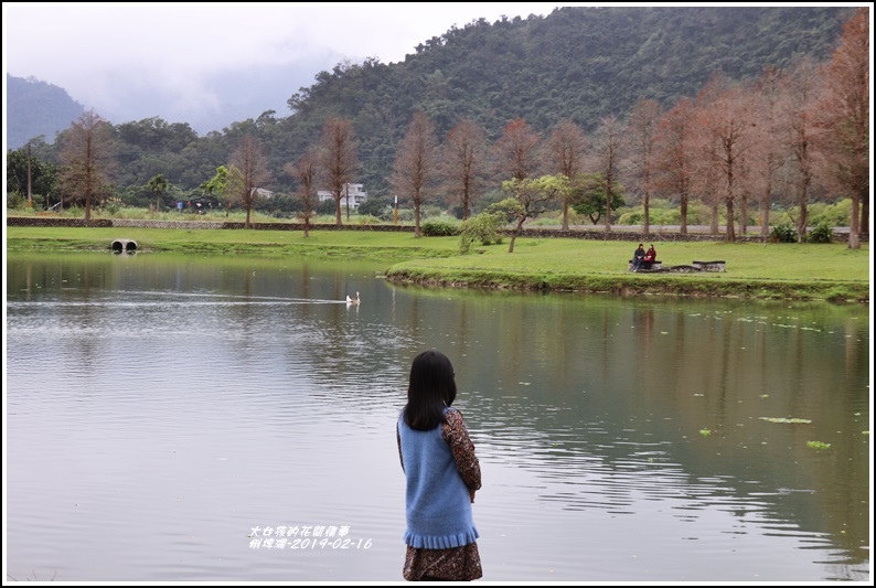 宜蘭,員山,蜊埤湖,員山機堡,落羽松,秘境,神風特攻隊,遺跡,宜蘭景點