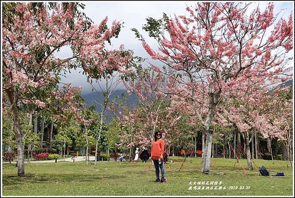 鹿鳴溫泉酒店花旗-2019-03-10.jpg