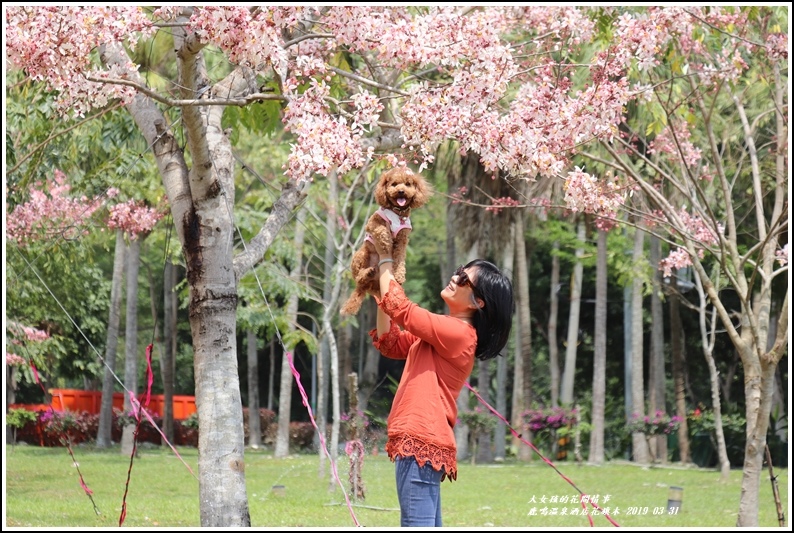 鹿鳴溫泉酒店花旗-2019-03-14.jpg