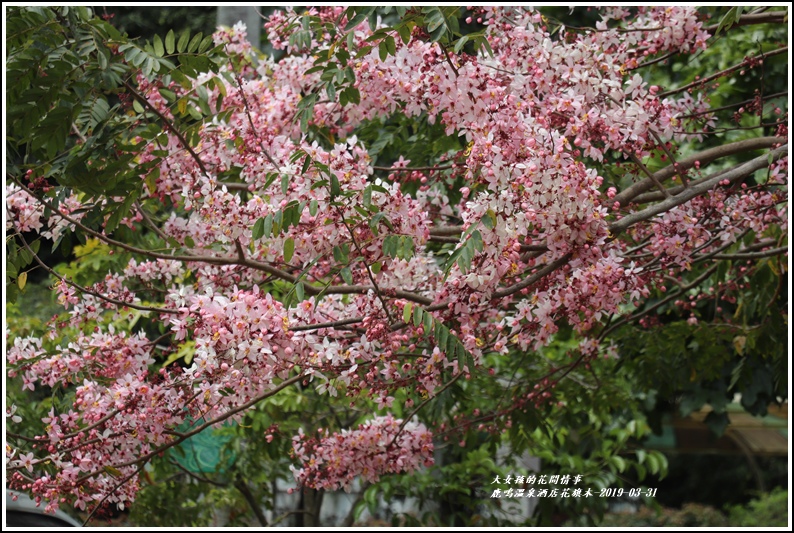 鹿鳴溫泉酒店花旗-2019-03-47.jpg