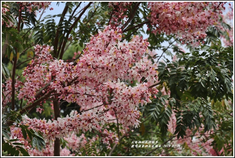 鹿鳴溫泉酒店花旗-2019-03-49.jpg