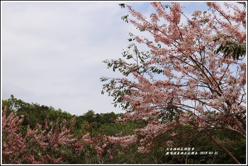 鹿鳴溫泉酒店花旗-2019-03-54.jpg