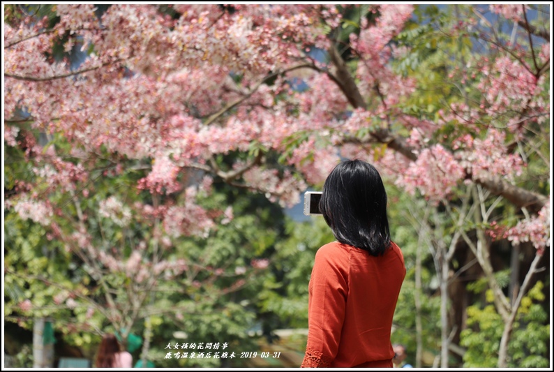 鹿鳴溫泉酒店花旗-2019-03-60.jpg