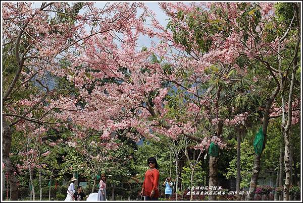 鹿鳴溫泉酒店花旗-2019-03-62.jpg