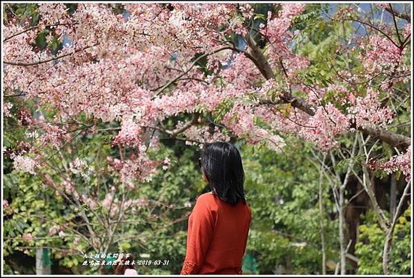 鹿鳴溫泉酒店花旗-2019-03-63.jpg