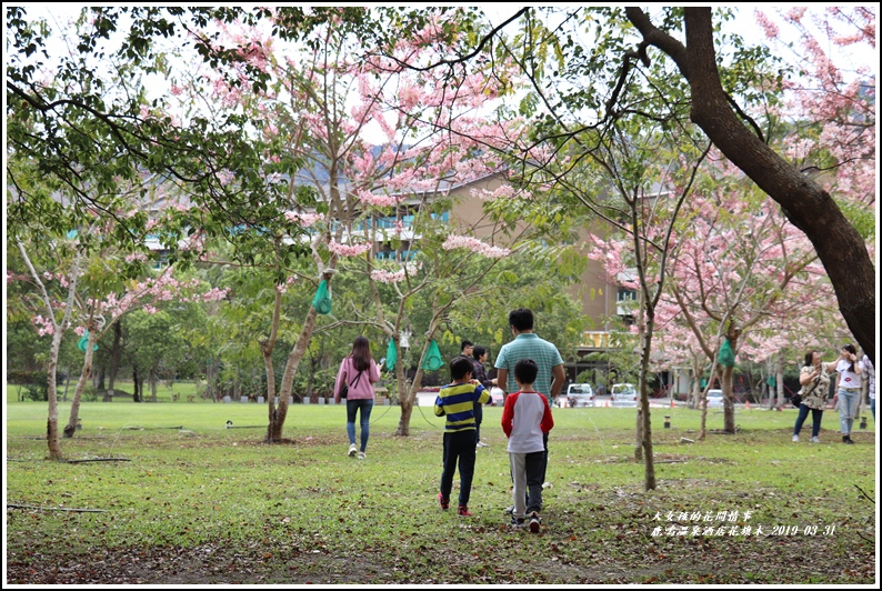 鹿鳴溫泉酒店花旗-2019-03-69.jpg