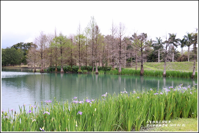 雲山水植物農場-2019-04-02.jpg