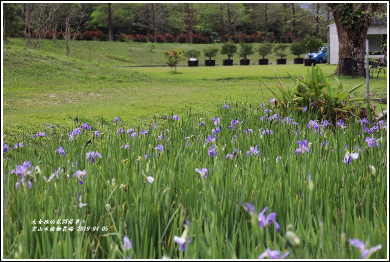 雲山水植物農場-2019-04-09.jpg