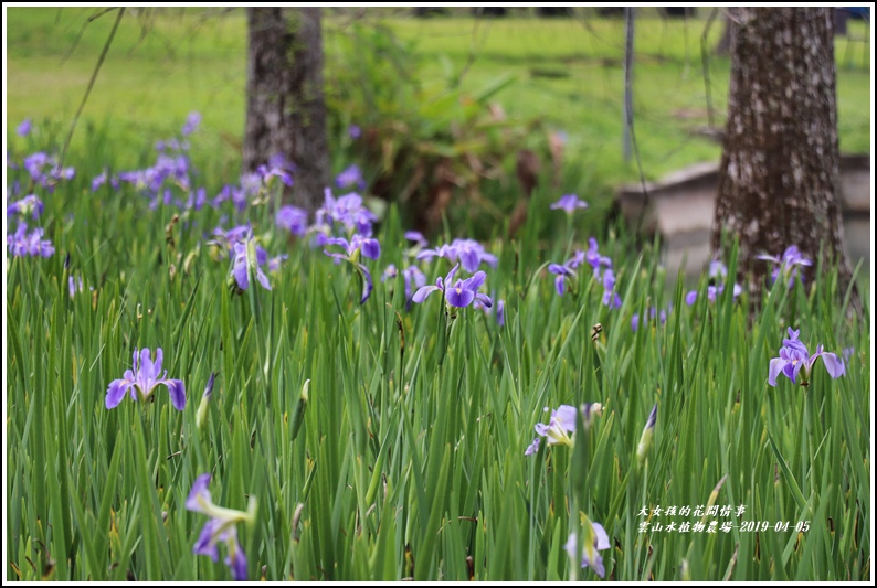 雲山水植物農場-2019-04-10.jpg